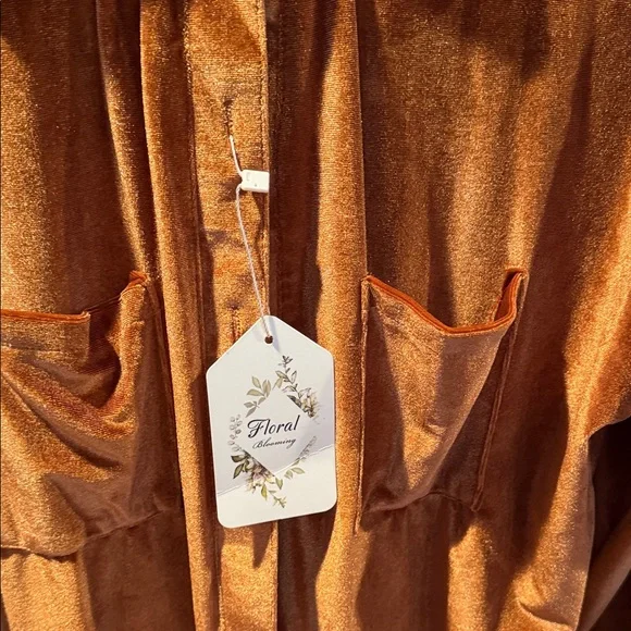 Velvet Button Down Shirt in Rust - Picture 2 of 4